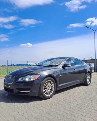 Jaguar XF cena 7800 przebieg: 150437, rok produkcji 2010 z Lesko małe 154